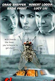 Watch Free Flypaper (1999)