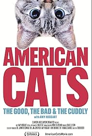 Watch Free American Cats The Good, the Bad, and the Cuddly (2024)