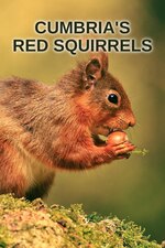 Watch Free Cumbrias Red Squirrels (2024)