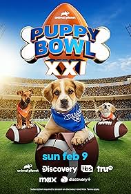 Watch Free Puppy Bowl XXI (2025)