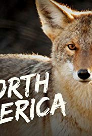 Watch Free North America (2013 )